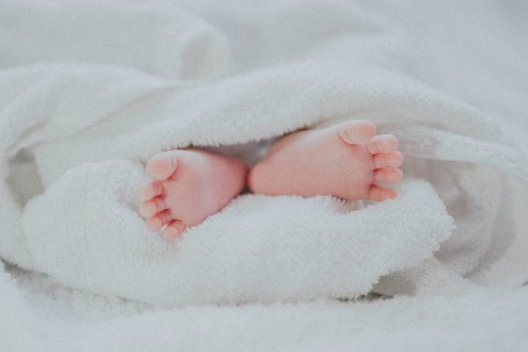 Sleep Dochi 인스타그램 사진 4